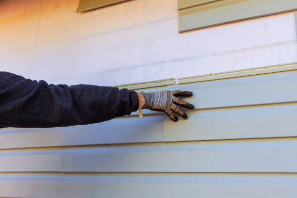 Affordable Siding Repair and Maintenance Services in Shafter, CA